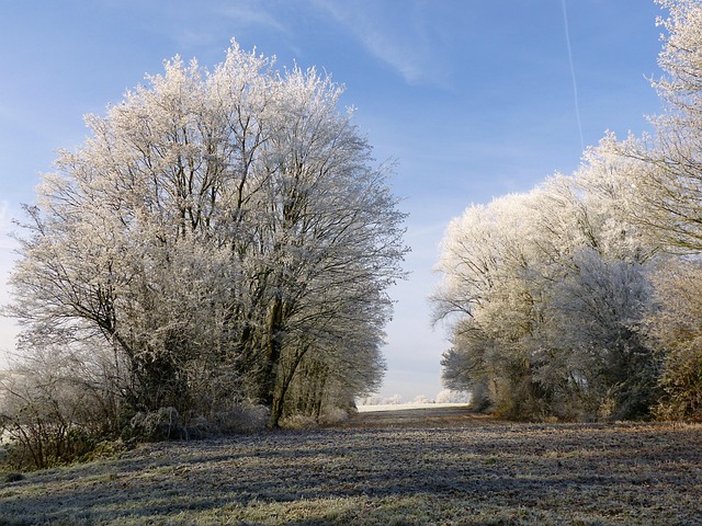 weather, plumbing, rain, frost, cold, humidity