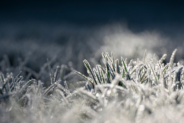 weather, plumbing, rain, frost, cold, humidity