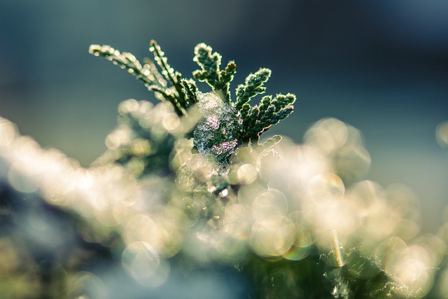 weather, plumbing, rain, frost, cold, humidity