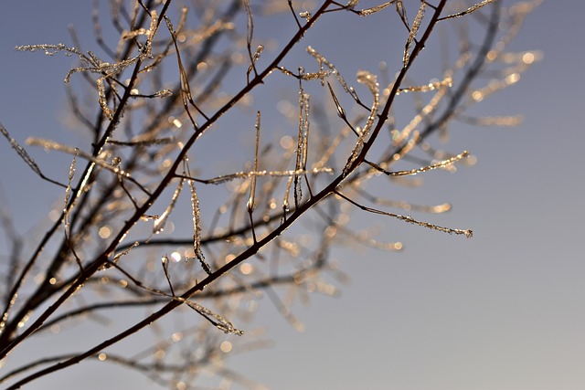 weather, plumbing, rain, frost, cold, humidity
