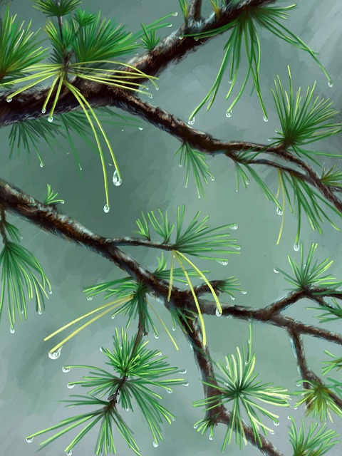 weather, plumbing, rain, frost, cold, humidity