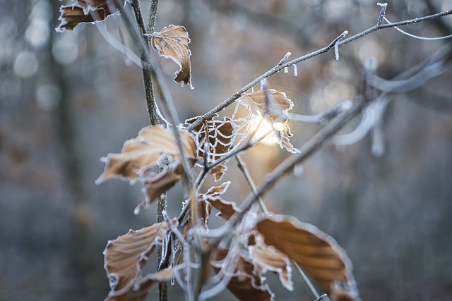weather, plumbing, rain, frost, cold, humidity