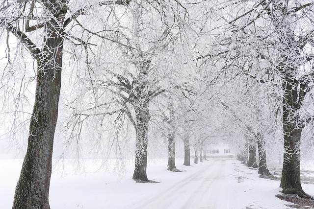weather, plumbing, rain, frost, cold, humidity