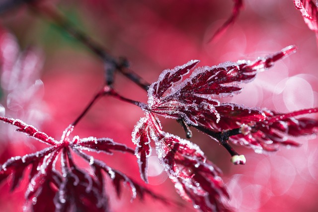 weather, plumbing, rain, frost, cold, humidity