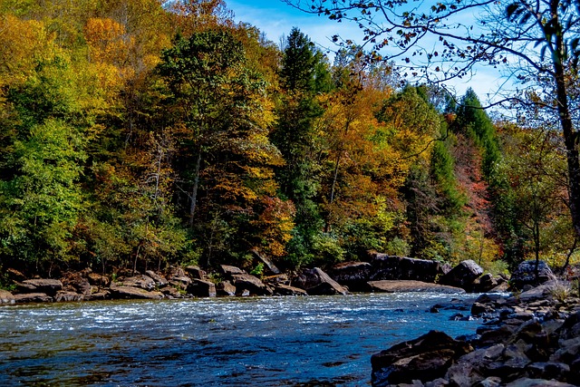 whitewater