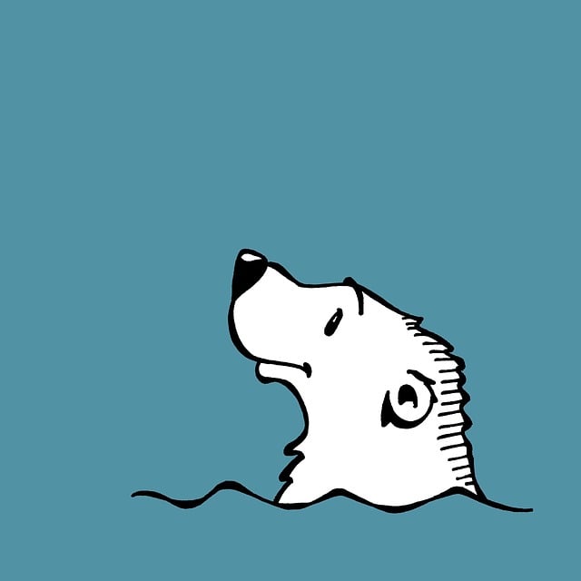 wildlife