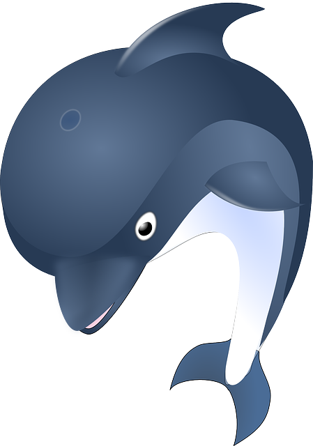 wildlife, coastal, birdwatching, marine, nature, conservation