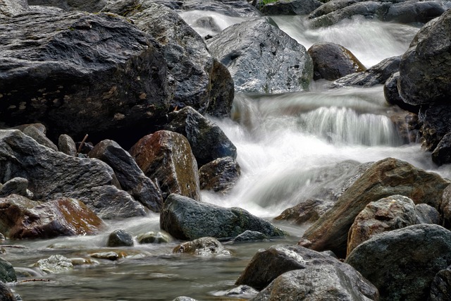 Willamette, fishing, river, trout, nature, conservation