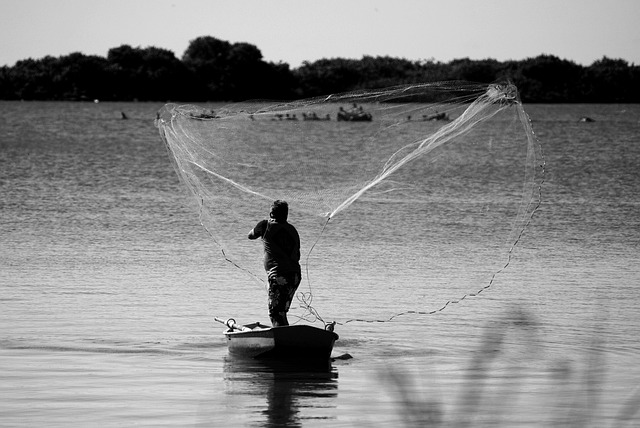 Willamette, fishing, river, trout, nature, conservation