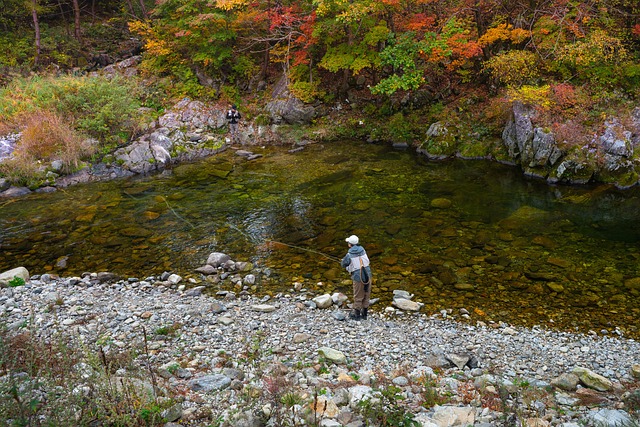 Willamette, fishing, river, trout, nature, conservation