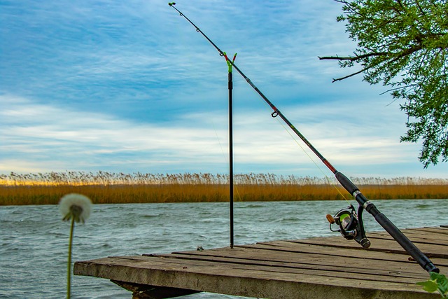 Willamette, fishing, river, trout, nature, conservation