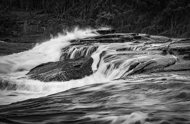 Willamette, fishing, river, trout, nature, conservation