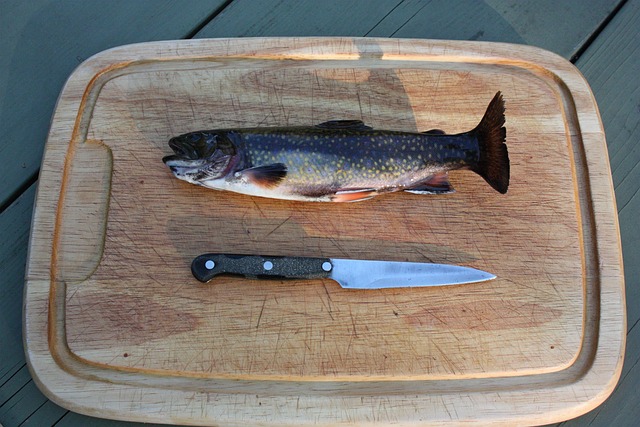Willamette, fishing, river, trout, nature, conservation