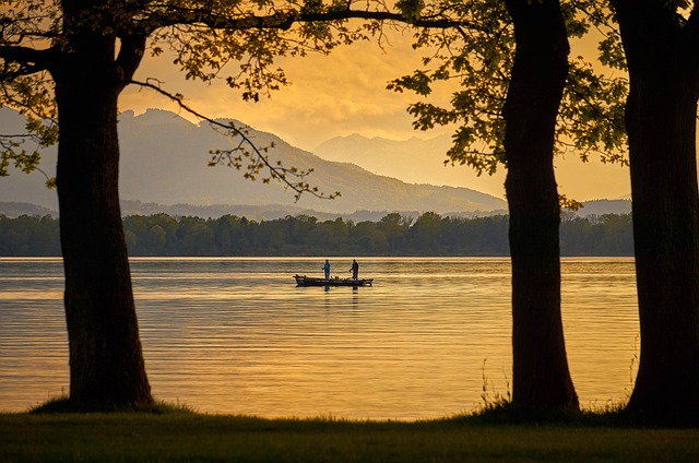 Willamette, fishing, river, trout, nature, conservation