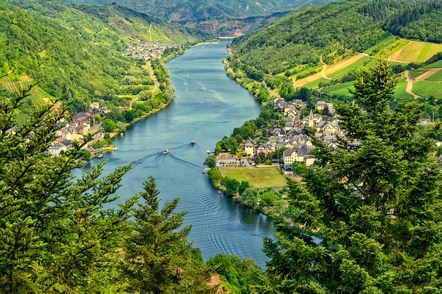 Willamette, fishing, river, trout, nature, conservation