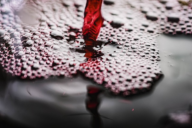 wine