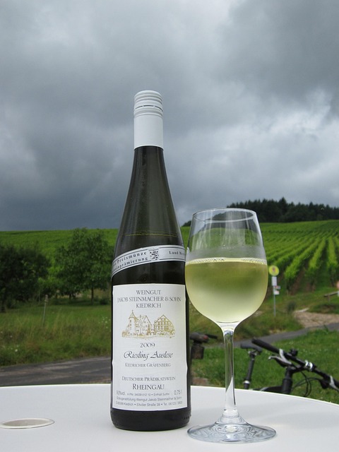 wine-vineyard-grapes-tasting-winery-bott-640x480-284553.jpeg