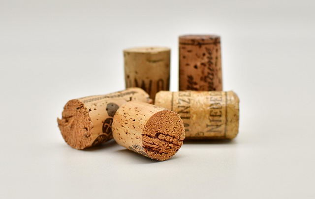 Discover Lane County’s Vineyard Scene: Ultimate Wine Tasting Tours