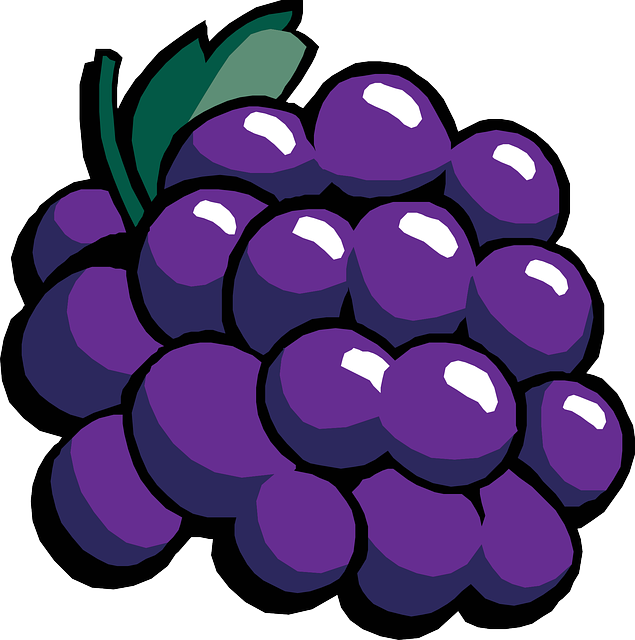 wine, vineyard, grapes, tasting, winery, bottles