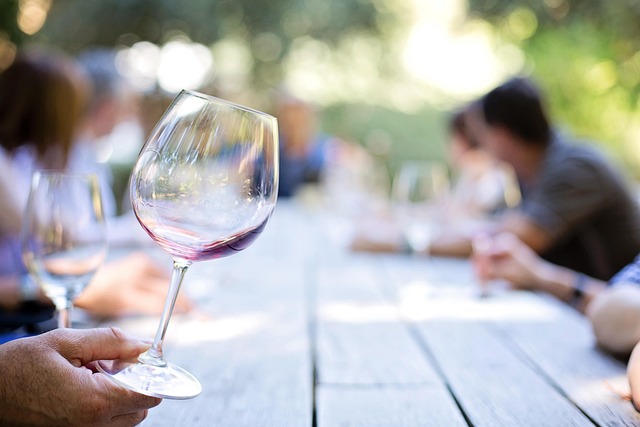 wine, vineyard, grapes, tasting, winery, bottles
