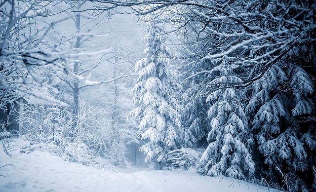 winter, insulation, pipes, freeze, cold, protection