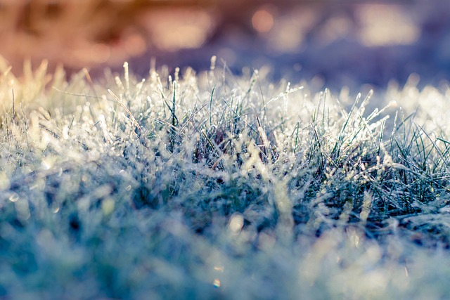 winter, insulation, pipes, freeze, cold, protection