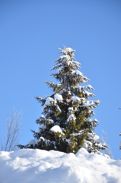 winter, insulation, pipes, freeze, cold, protection