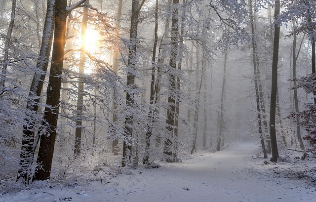winter-insulation-pipes-freeze-cold-prot-640x480-54454785.jpeg