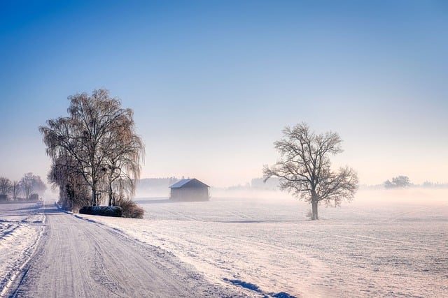 winter, insulation, pipes, freeze, cold, protection