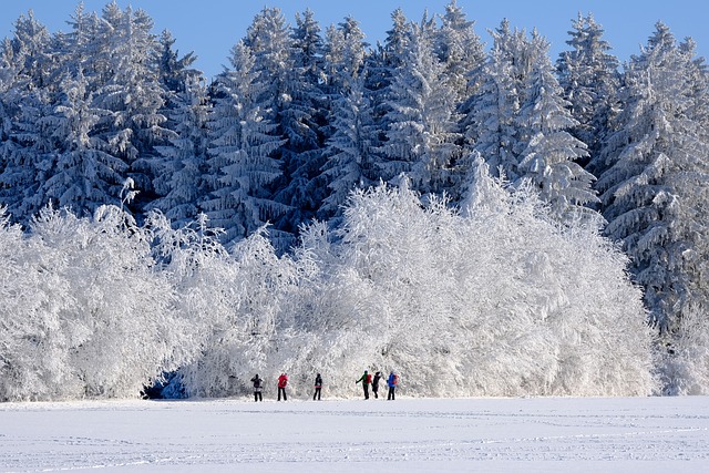 winter, insulation, pipes, freeze, cold, protection