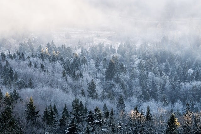 winter, insulation, pipes, freeze, cold, protection