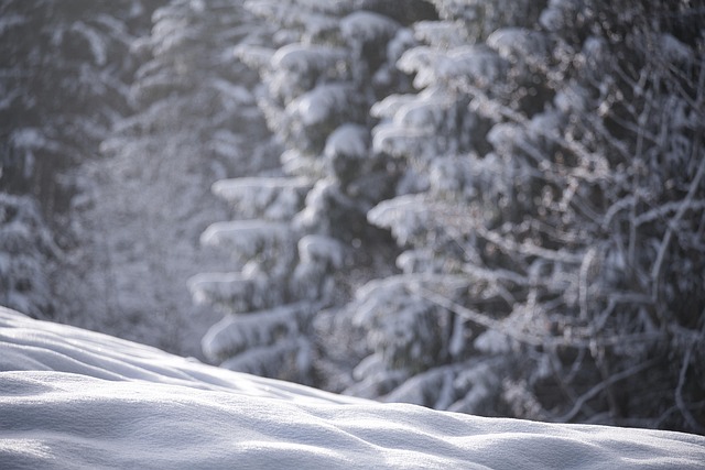winter, insulation, pipes, freeze, cold, protection