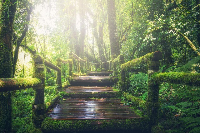 adventure