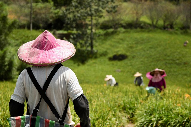 agriculture