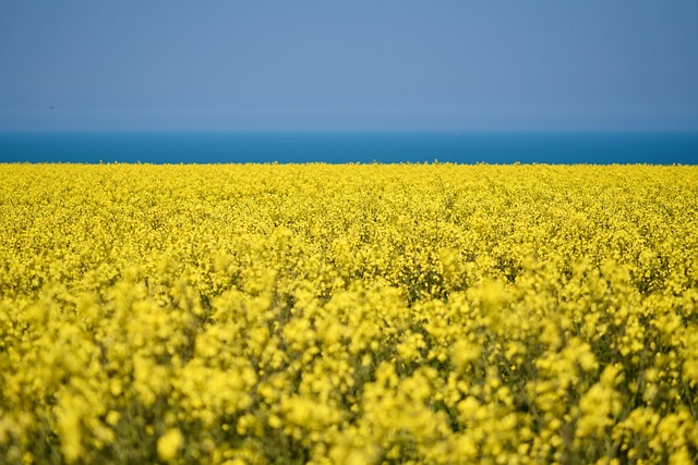 agriculture