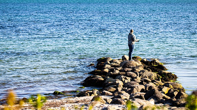 Angler