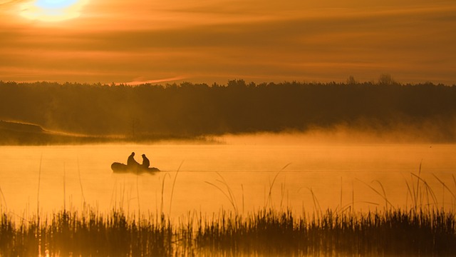 Angler
