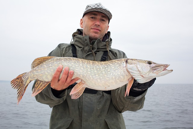 Angler