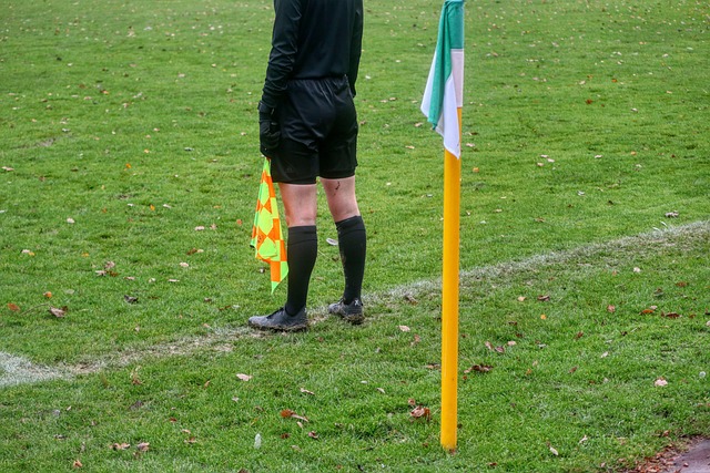 assistant