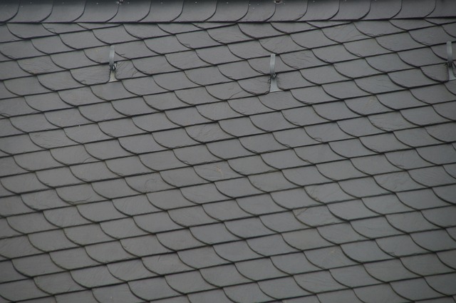 attic-mold-roof-insulation-moisture-leak-640x480-62668863.jpeg
