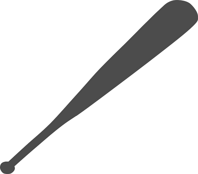 bat