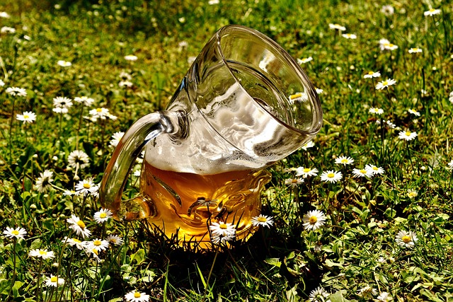 beer
