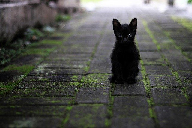 black