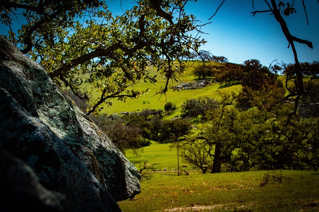bouldering