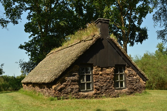 cabins