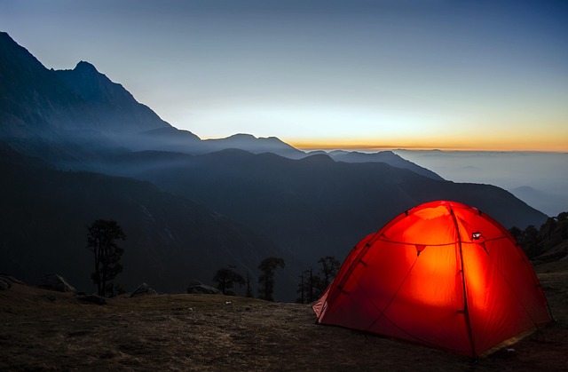 Master Campfire Cooking: Top Tips for Eugene Trips