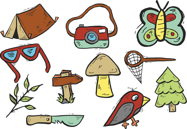 camping-tents-campfire-nature-forest-out-640x480-81810755.png