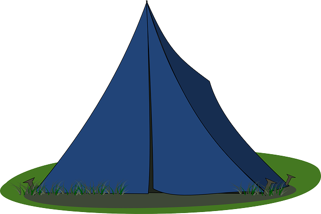camping-tents-campfire-nature-forest-out-640x480-8917459.png