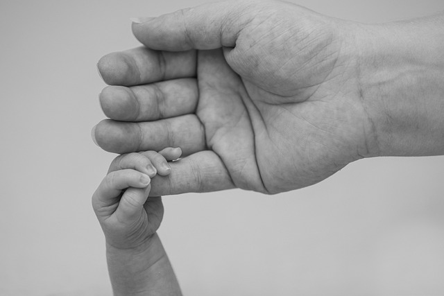 child-welfare-attorney-family-protection-640x480-60190223.jpeg