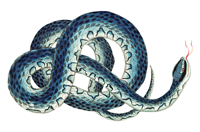 clog-drain-diy-plunger-snake-cleaning-640x480-8658620.png